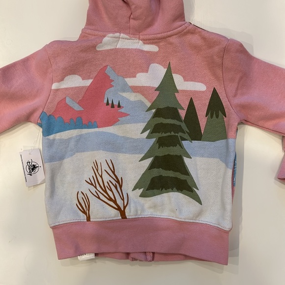 NWT Disney Sweatshirt, 2T, and Hat (Youth) currently sold in Disneyland Jan 2024 - Picture 14 of 16